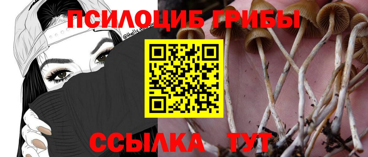 Спасск-Дальний  Псилоцибиновые грибы Cubensis  Вход с VPN  Галлюциногенные грибы ЛСД 